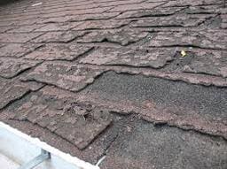 Some Insurance Companies Want to Limit Your Roof Coverage.