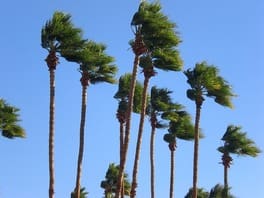 Hurricane Season is Right Around the Corner