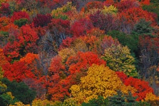 Let's Get Ready For Fall