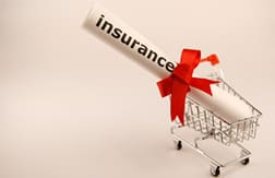 I'm Single. What Insurance Should I Get?