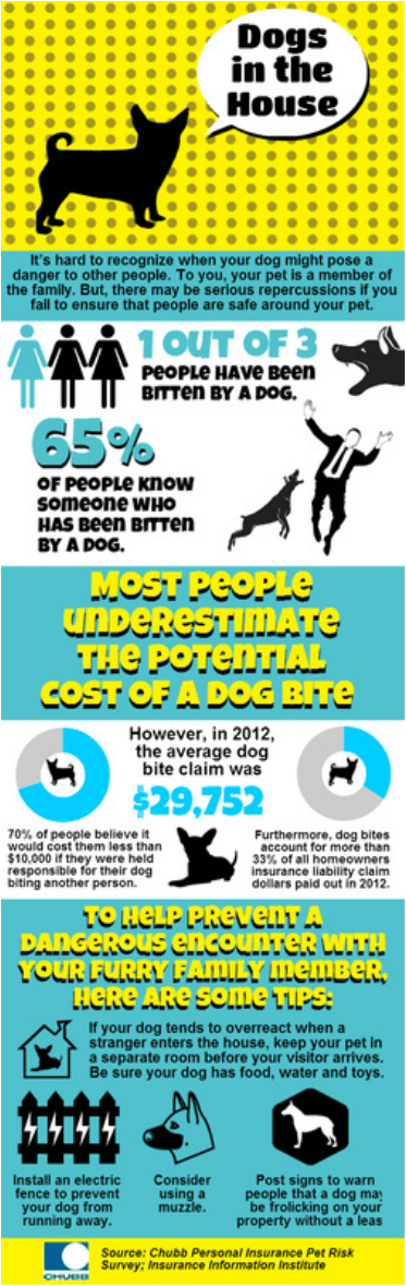 Insurance for the Dog Owner